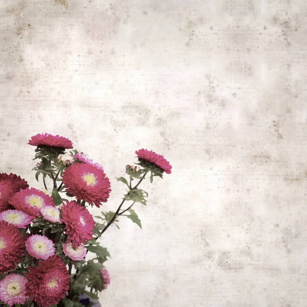 Textured Stylish Old Paper Background Square Chinese Aster Bouquet — Stock Photo, Image