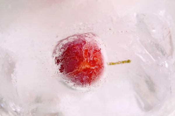 Kleine Rote Pflaumen Gefroren Einem Eisblock — Stockfoto