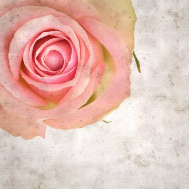 desenli eski kağıt arka plan, kare, pembe ve yeşil gül