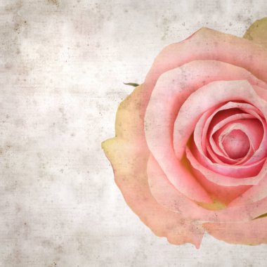 desenli eski kağıt arka plan, kare, pembe ve yeşil gül