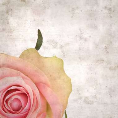 desenli eski kağıt arka plan, kare, pembe ve yeşil gül