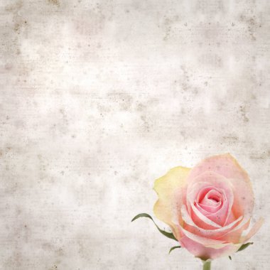 desenli eski kağıt arka plan, kare, pembe ve yeşil gül