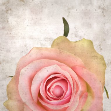 desenli eski kağıt arka plan, kare, pembe ve yeşil gül