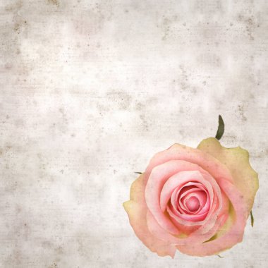 desenli eski kağıt arka plan, kare, pembe ve yeşil gül