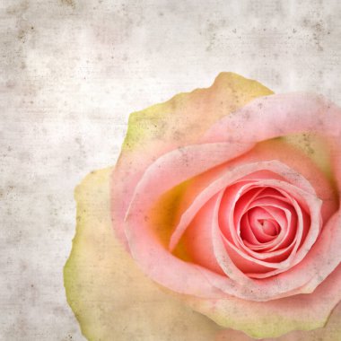 desenli eski kağıt arka plan, kare, pembe ve yeşil gül