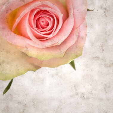 desenli eski kağıt arka plan, kare, pembe ve yeşil gül