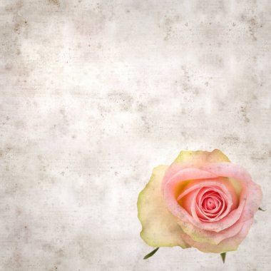 sıra dışı pembe ve yeşil güllü eski kağıt arkaplan