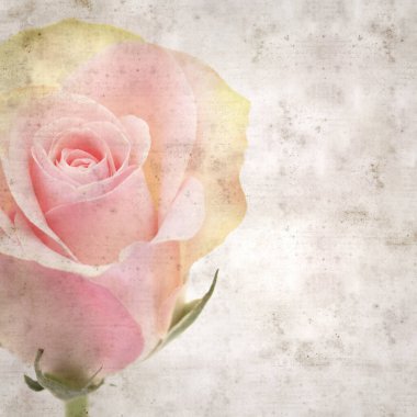 sıra dışı pembe ve yeşil güllü eski kağıt arkaplan