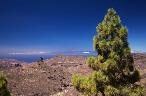 Gran Canaria Krajina Centrální Části Ostrova Las Cumbres Summity — Stock fotografie