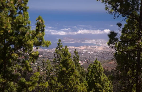 Gran Canaria Krajobraz Centralnej Części Wyspy Las Cumbres Czyli Szczyty — Zdjęcie stockowe