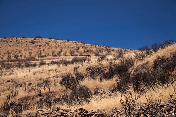 Gran Canaria Paysage Partie Centrale Île Las Cumbres Est Dire — Photo