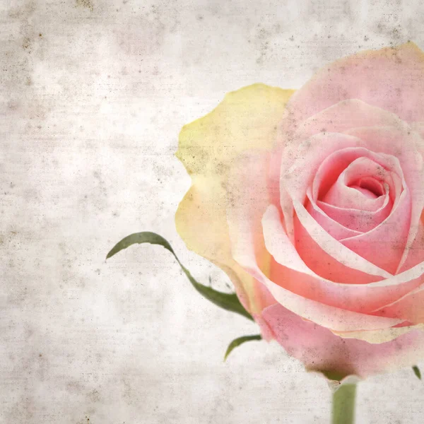 スタイリッシュな古い紙の背景にピンクと緑のバラ — ストック写真