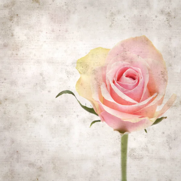 desenli eski kağıt arka plan, kare, pembe ve yeşil gül