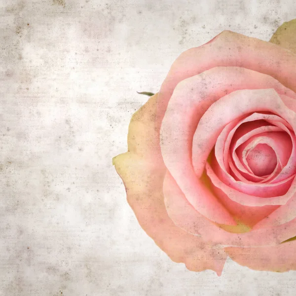 desenli eski kağıt arka plan, kare, pembe ve yeşil gül