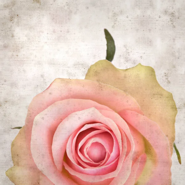 desenli eski kağıt arka plan, kare, pembe ve yeşil gül