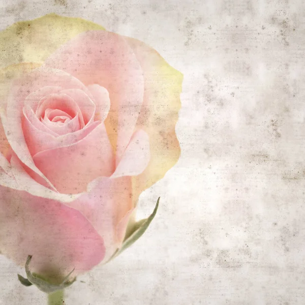 sıra dışı pembe ve yeşil güllü eski kağıt arkaplan