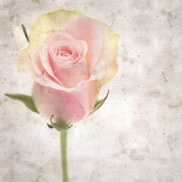 Vieux Fond Papier Texturé Avec Rose Inhabituelle Rose Verte — Photo