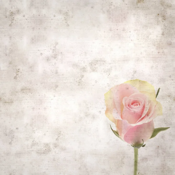 Teksturowane Stare Tło Papieru Niezwykłą Różową Zieloną Różą — Zdjęcie stockowe