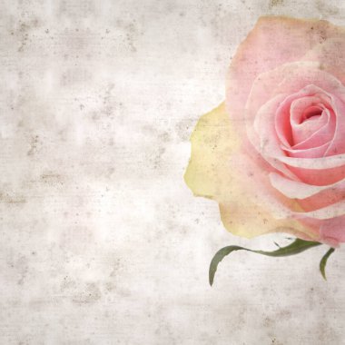 sıra dışı pembe ve yeşil güllü eski kağıt arkaplan