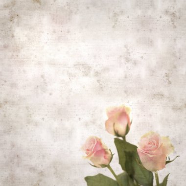 sıra dışı pembe ve yeşil güllü eski kağıt arkaplan