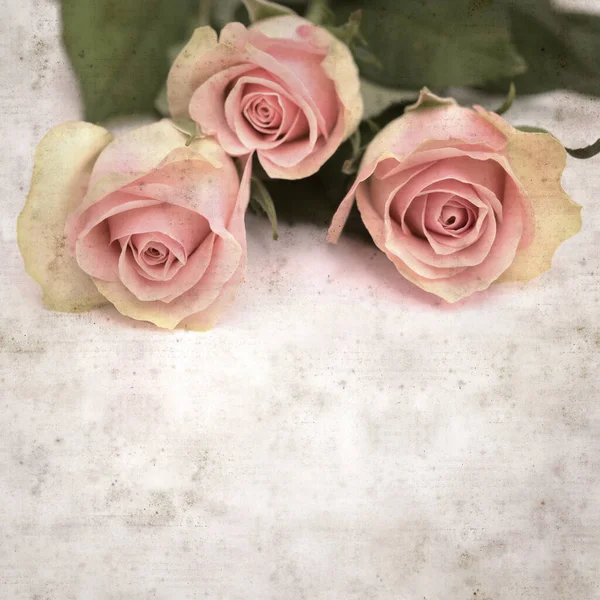 Vieux Fond Papier Texturé Avec Rose Inhabituelle Rose Verte — Photo
