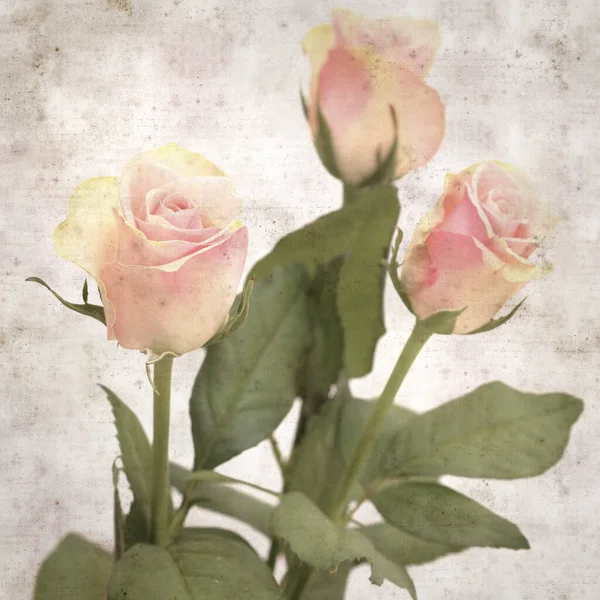 Текстурированный Старый Бумажный Фон Необычной Розовой Зеленой Розой — стоковое фото