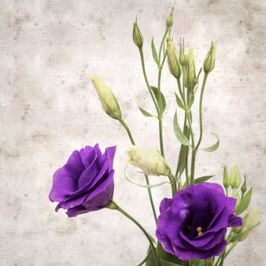 desenli eski kağıt arkaplan, kare, 