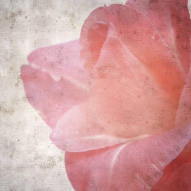 zarif pembe Gladiolus 'lu eski moda kağıt arka plan