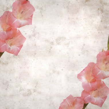 desenli eski kağıt arka plan, kare, yumuşak pembe Gladiolus