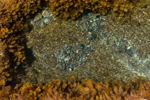 ゴールダー自治体のグラン カナリア島の背の高い北西部の海岸を侵食 — ストック写真