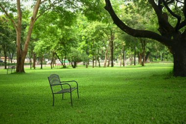 Ağaçlarla çevrili yeşil bir parkta boş bir metal bank ve açık çim tarlası..