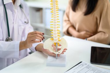 Doktor, muayene sırasında hastaya bel rahatsızlığını açıklamak için omurga modeli kullanıyor..