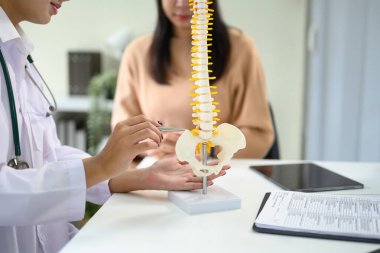 Doktor, tıbbi danışmanlık sırasında insan omurga anatomisini modelle açıklıyor..
