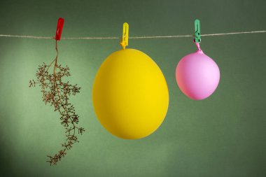 Üzüm boş bir demet, bir ip clothespins üzerinde sarı ve pembe balonlar dayan