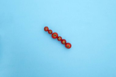 Mavi arka plan, üstten görünüm üzerinde kırmızı olgun domates