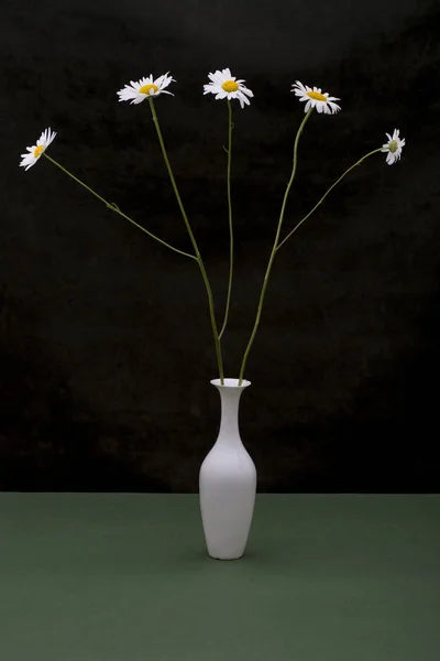 白い花瓶のデイジーの花束のある静物 — ストック写真