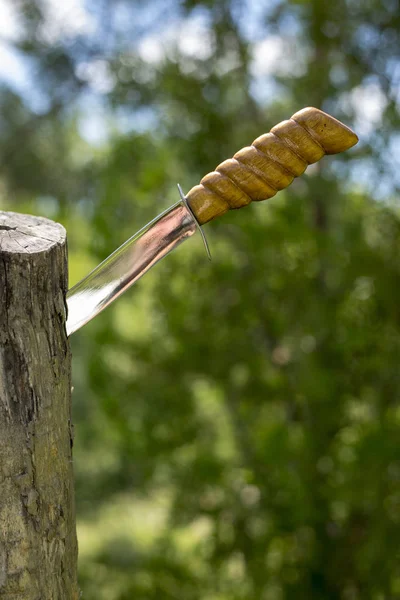 Großes Scharfes Messer Ragt Den Baum — Stockfoto