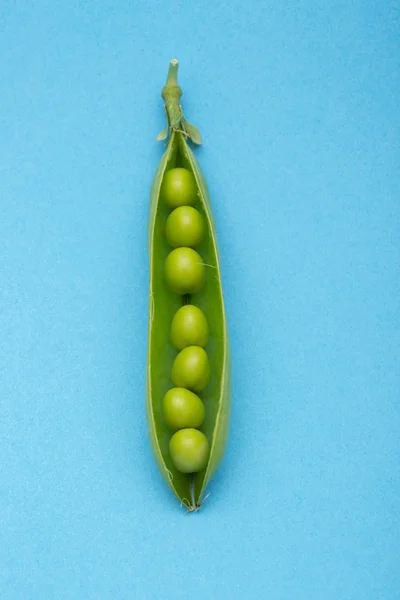 Baccello Pisello Verde Sfondo Blu — Foto Stock