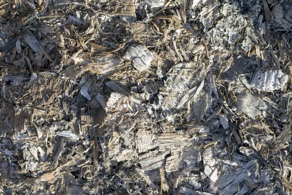 Arka plan ağaç kül, kül yanmış odun dan.