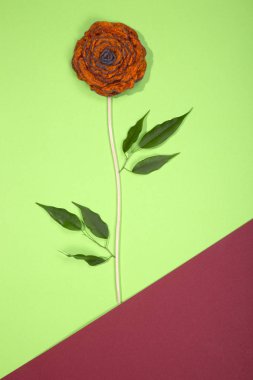 Fulled yün bir renk arka plan üzerinde bir çiçek şeklinde broş