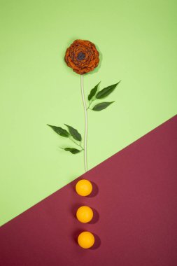 Fulled yün bir renk arka plan üzerinde bir çiçek şeklinde broş