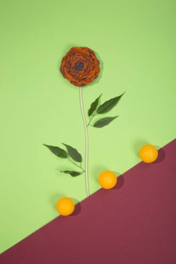 Fulled yün bir renk arka plan üzerinde bir çiçek şeklinde broş