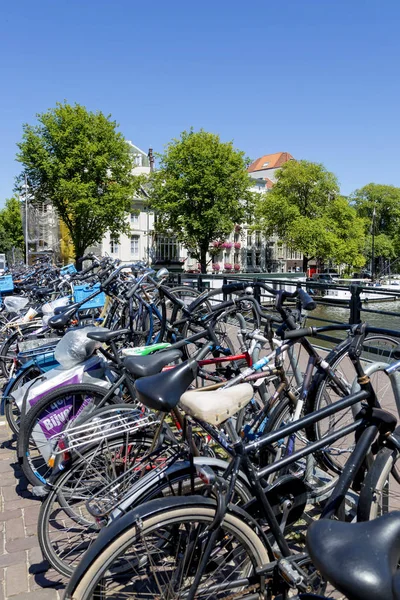 Amsterdam Hollanda Temmuz 2018 Bisiklet Park Amsterdam Merkezi — Stok fotoğraf