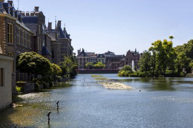 Lahey, Hollanda - 03 Temmuz 2018: Binnenhof palace su birikintisi üzerinden görünümünü.