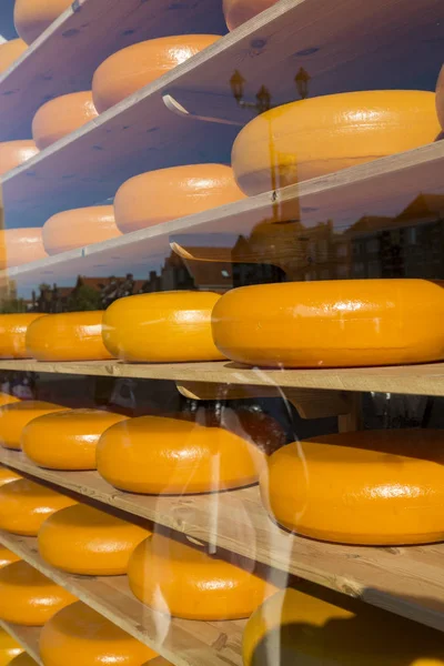 Mağaza vitrinindeki raflarda meşhur Hollanda peyniri