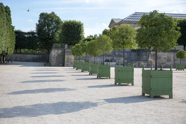 París Francia Julio 2018 Instalación Árboles Jardín Las Tullerías París — Foto de Stock