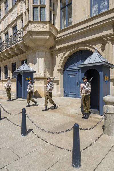 Luxemburgo Gran Ducado Luxemburgo Julio 2018 Protección Del Palacio Los — Foto de Stock