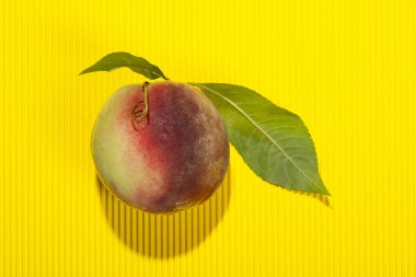 Sarı bir arka plan üzerinde yaprakları ile olgun şeftali