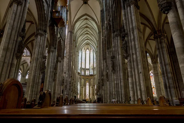 Köln Almanya Temmuz 2018 Katedral Saint Peter Kilisesi Katolik Katedrali — Stok fotoğraf