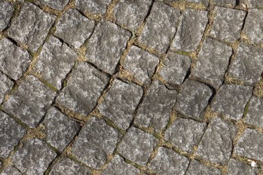 Doku ve arka plan Köln sokakta kaldırım